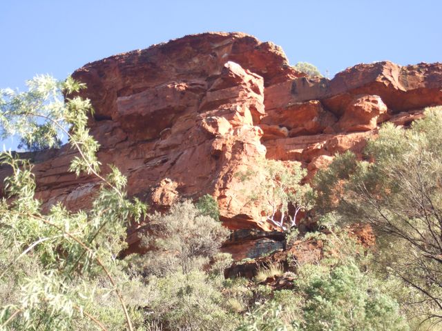 Le Centre rouge, photo 14