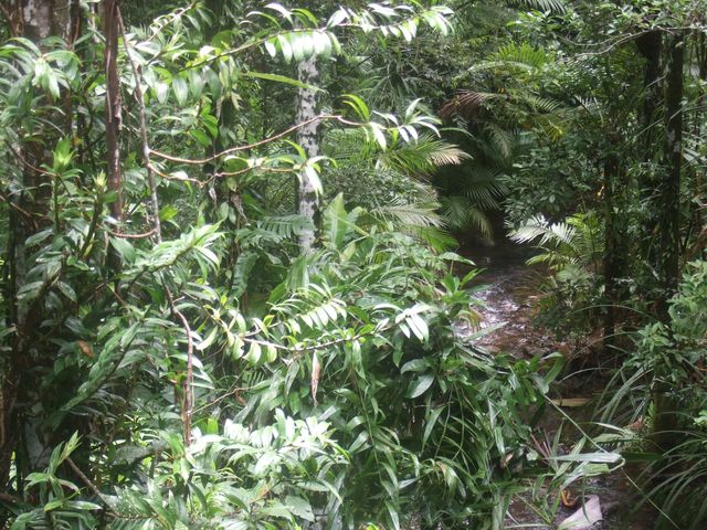 Port Douglas, photo 6