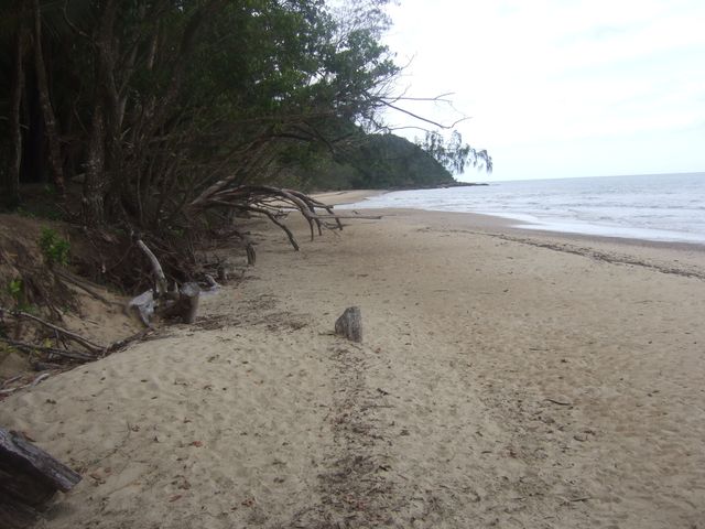 Port Douglas, photo 7