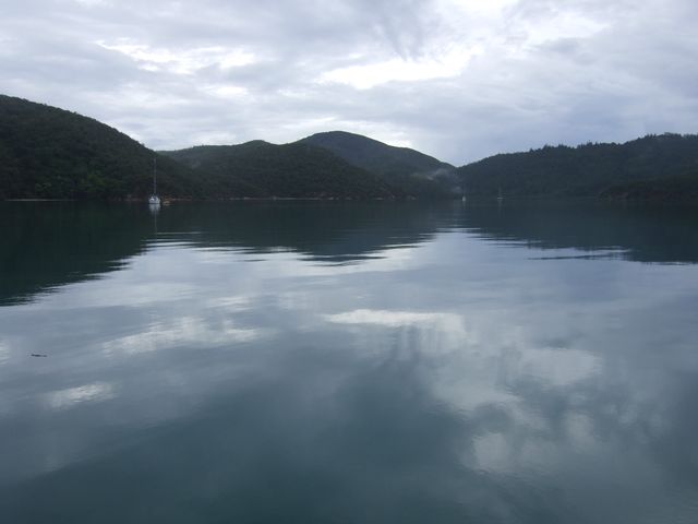 Îles Whitsunday, photo 17