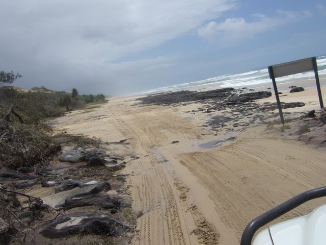 Fraser Island, Hervey Bay, photo 3