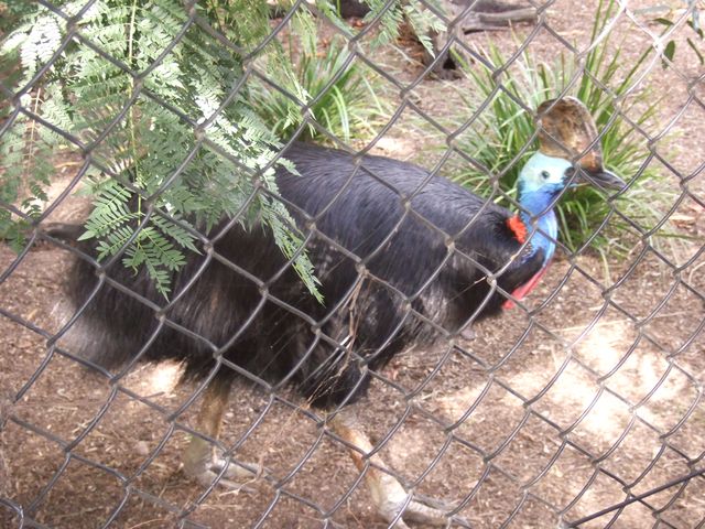 Brisbane, photo 3