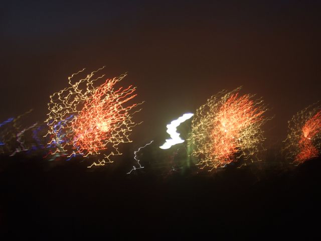 Sydney, photo 17