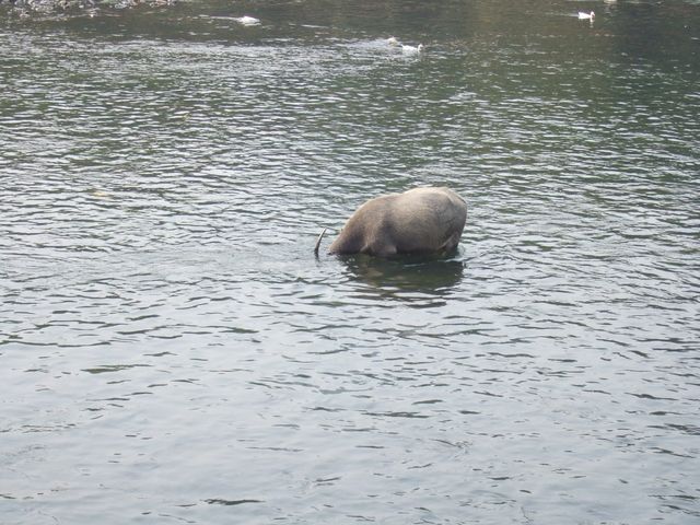 Guilin, photo 8