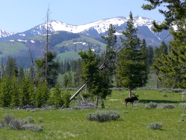 Yellowstone, photo 5
