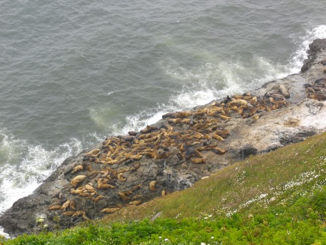 Newport, photo 1
