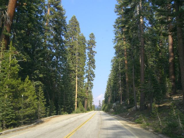 Yosemite, photo 6