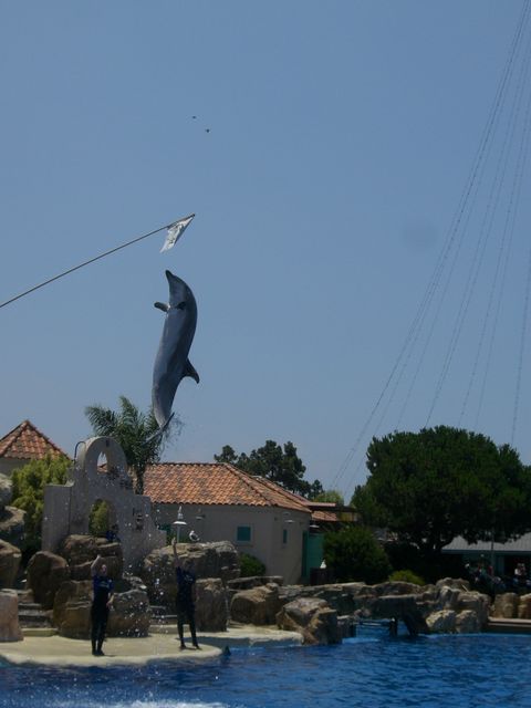 San Diego, photo 11