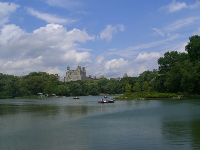New York, photo 14