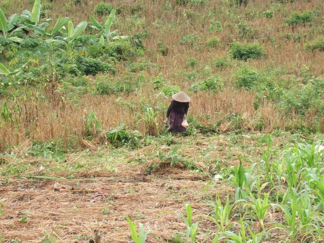 Luang Prabang, photo 17