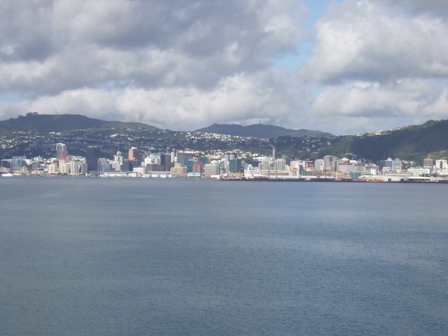 Wellington, photo 5