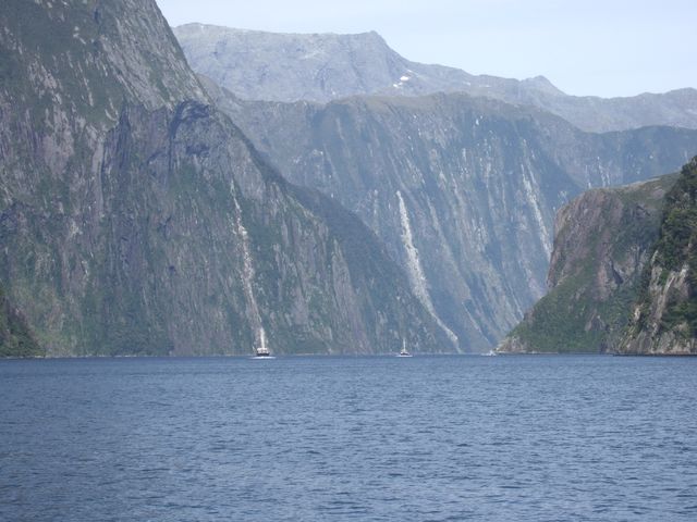 Fiordland, photo 2