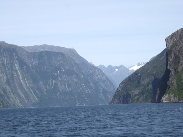 Fiordland, photo 3