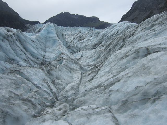Glacier Fox, photo 7