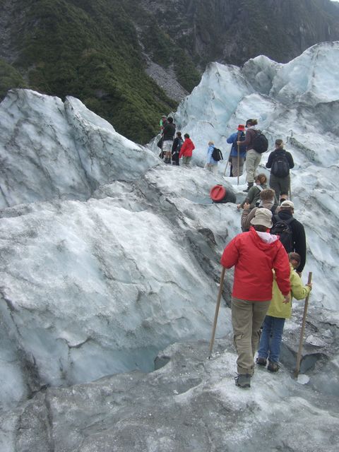 Glacier Fox, photo 8