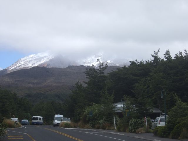 Napier, Parc de Tongariro, photo 4