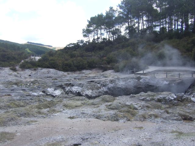 Waiotapu, Auckland, photo 3