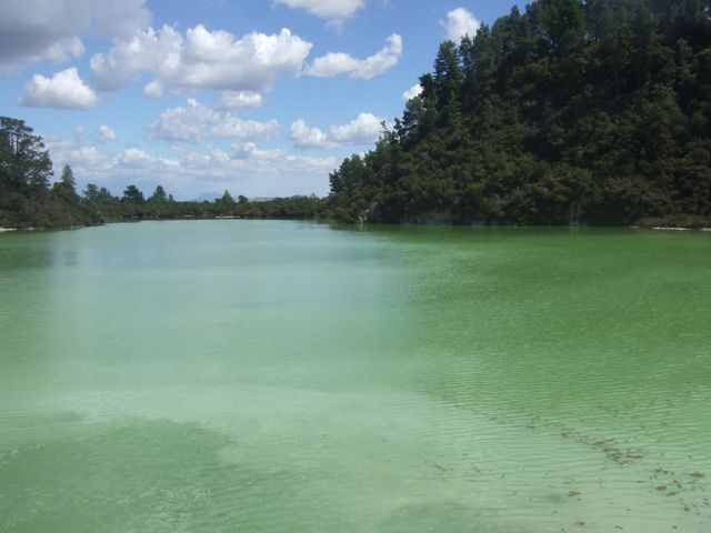 Waiotapu, Auckland, photo 6