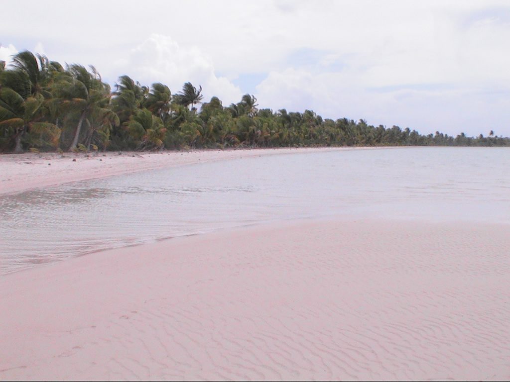Les îles Sous-le-Vent et l’archipel des Tuamotu — photo 2