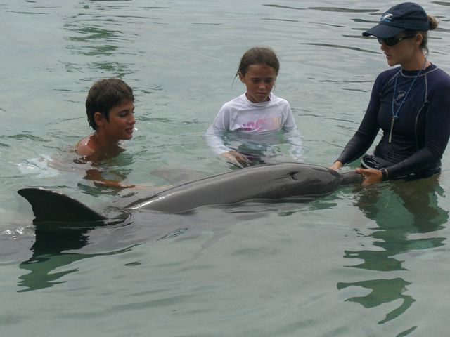 Papeete, Moorea, photo 14