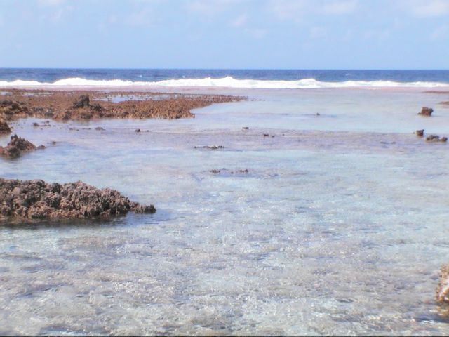 Rangiroa, photo 8