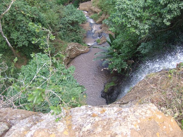 Safari, photo 16